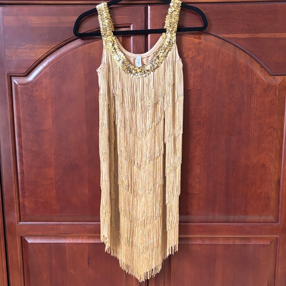 Gold Fringe Sleeveless Dress (Costume)